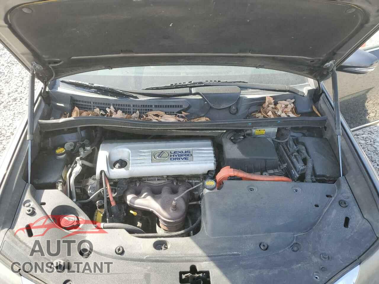 LEXUS HS 2010 - JTHBB1BA0A2005833