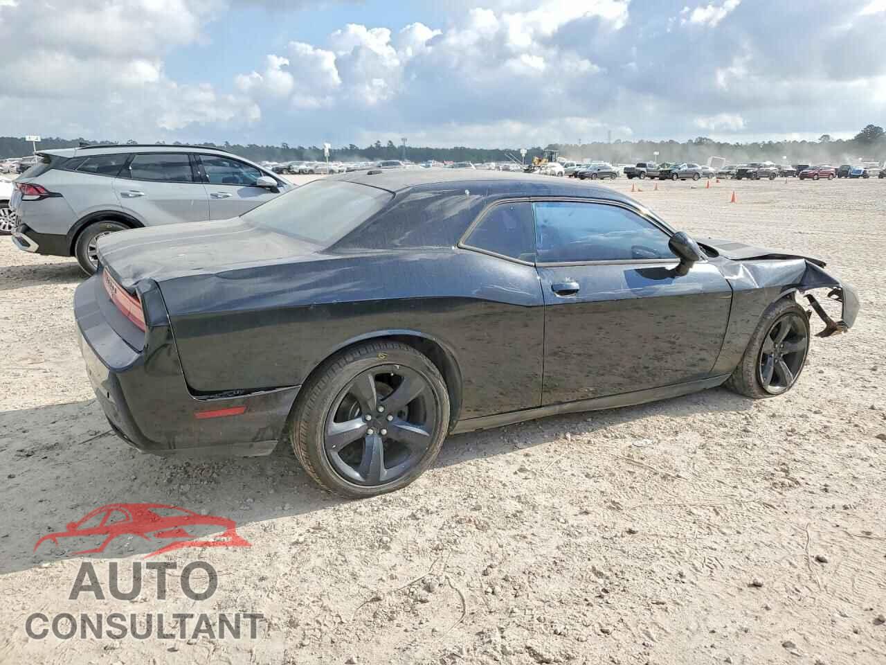 DODGE CHALLENGER 2013 - 2C3CDYAG2DH531153