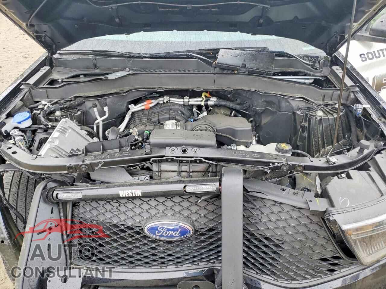 FORD EXPLORER 2024 - 1FM5K8AB3RGA67030