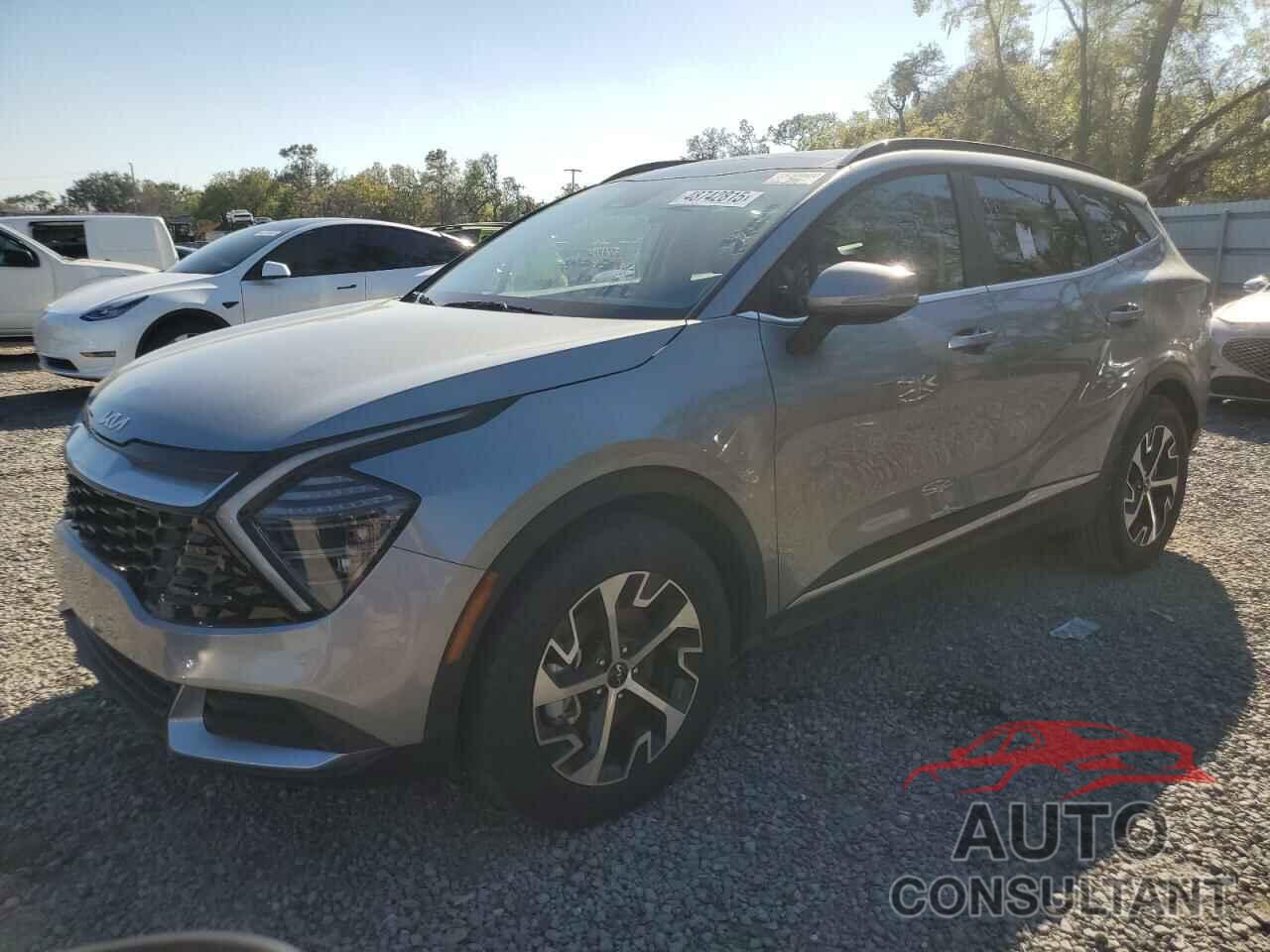 KIA SPORTAGE 2025 - KNDPV3DF7S7334729