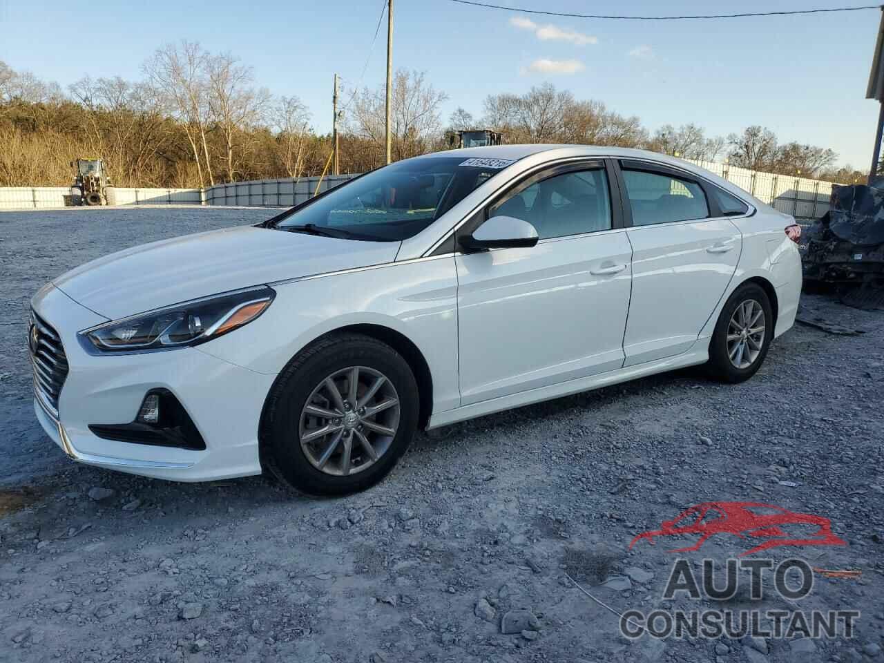 HYUNDAI SONATA 2019 - 5NPE24AF8KH815613