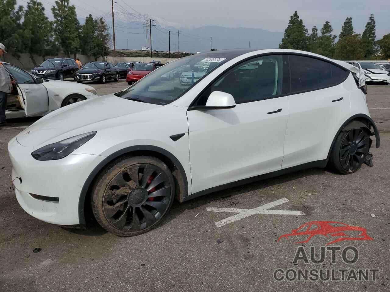 TESLA MODEL Y 2022 - 7SAYGDEF8NF549556