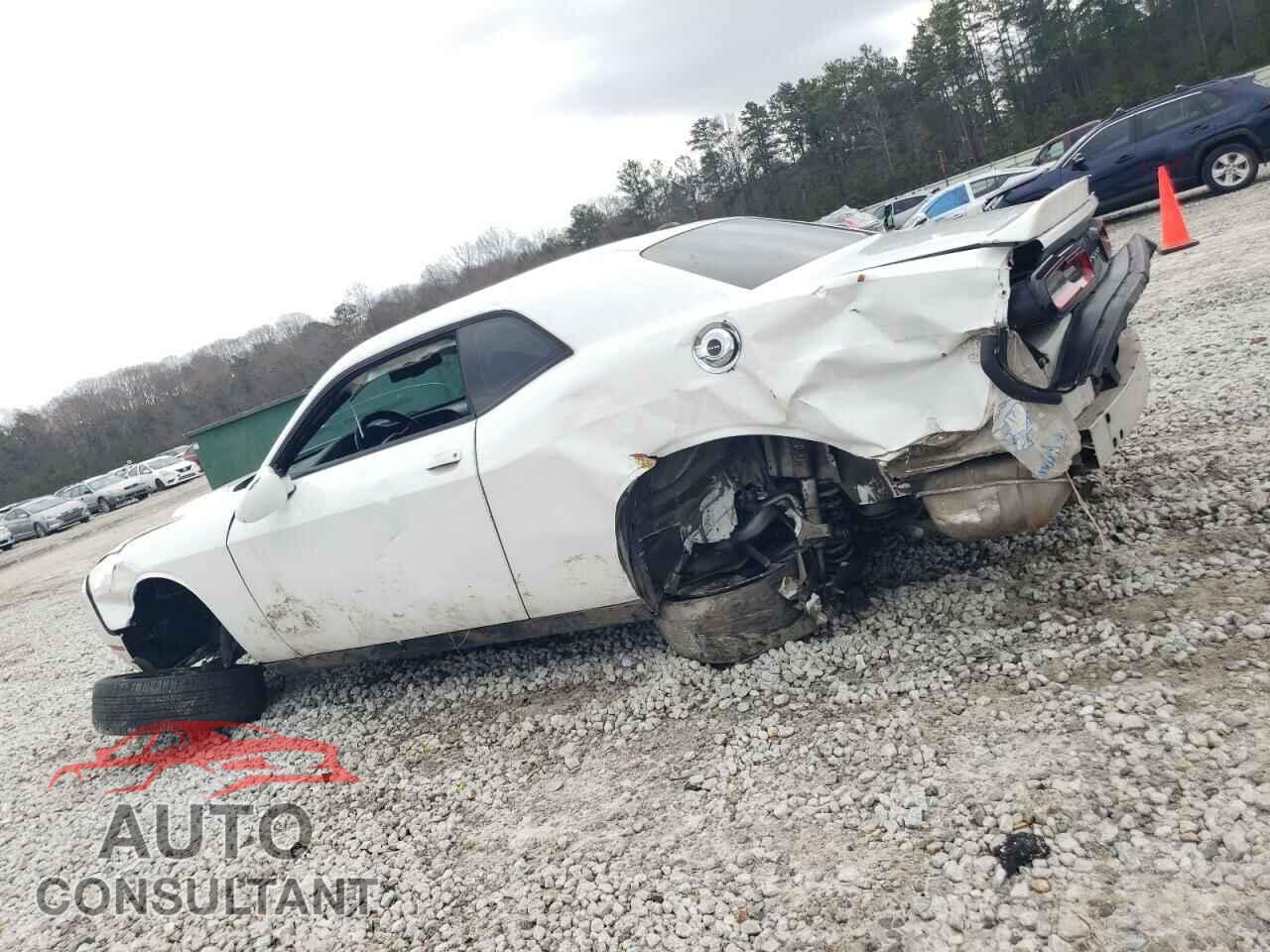 DODGE CHALLENGER 2019 - 2C3CDZAG2KH669519