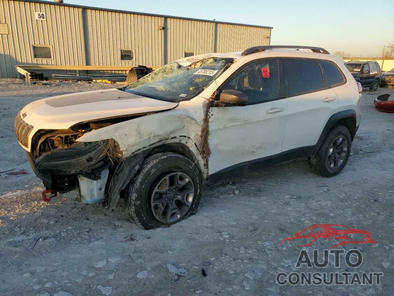 JEEP CHEROKEE 2019 - 1C4PJMBX7KD196561