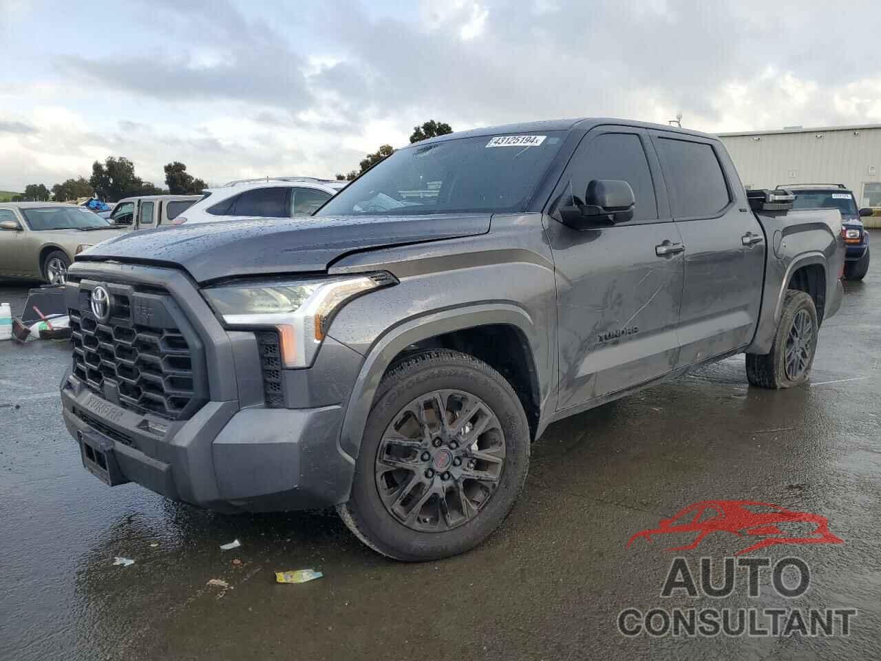 TOYOTA TUNDRA 2023 - 5TFLA5DB1PX104789