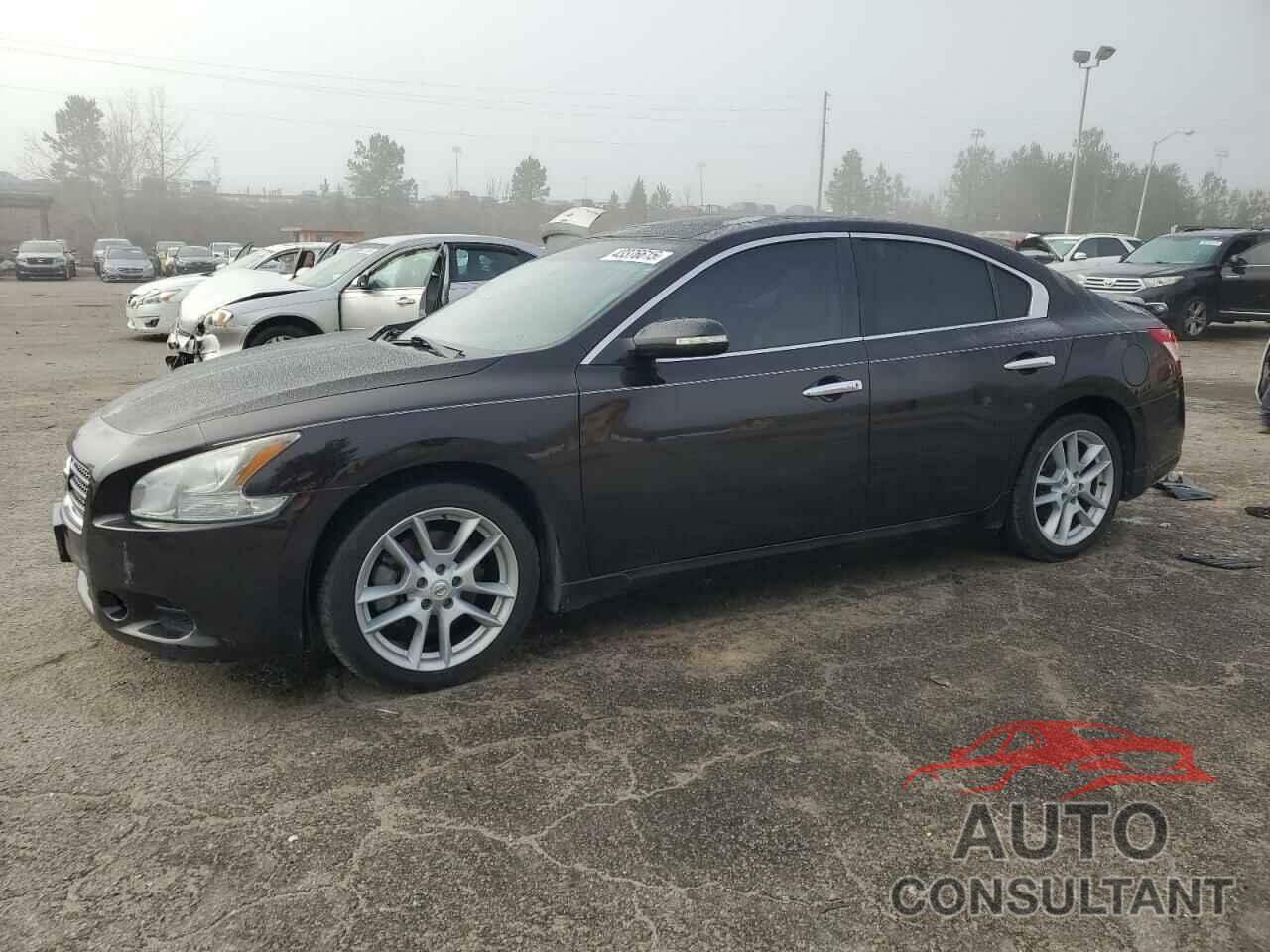 NISSAN MAXIMA 2010 - 1N4AA5AP7AC835805