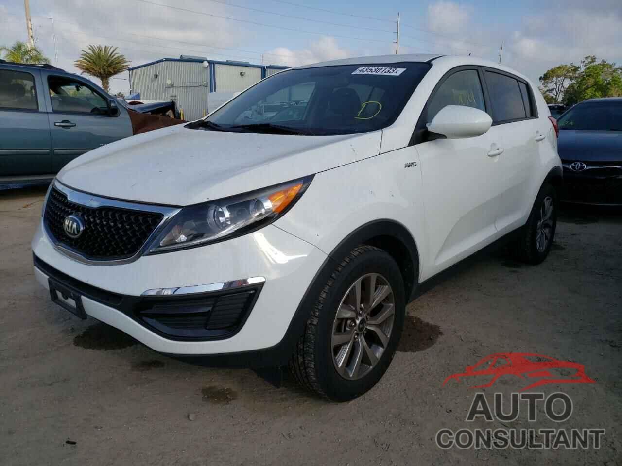 KIA SPORTAGE 2016 - KNDPBCAC8G7872298
