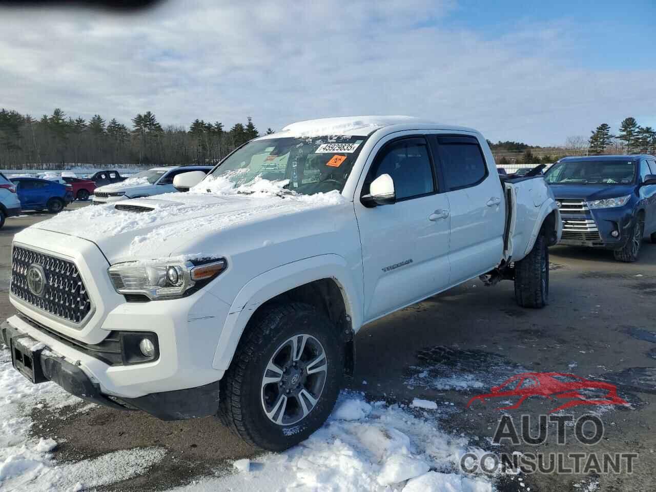 TOYOTA TACOMA 2019 - 3TMDZ5BN5KM061888