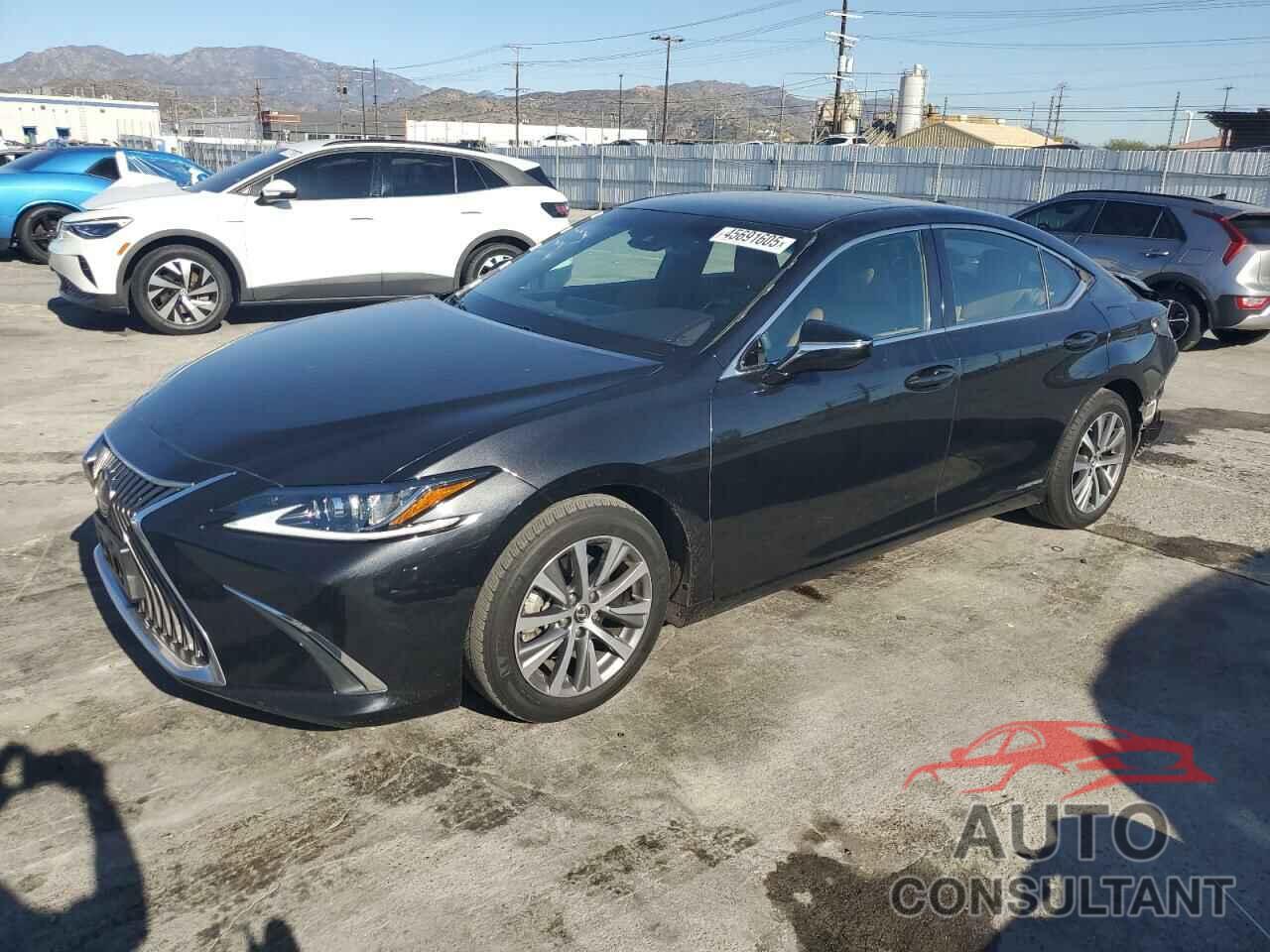 LEXUS ES300 2020 - 58AC21B11LU011223