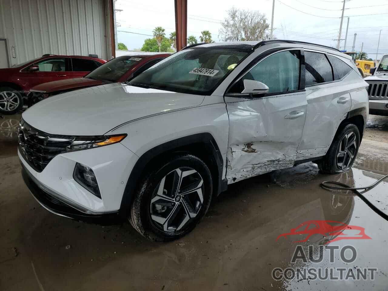 HYUNDAI TUCSON 2023 - KM8JECA10PU116070