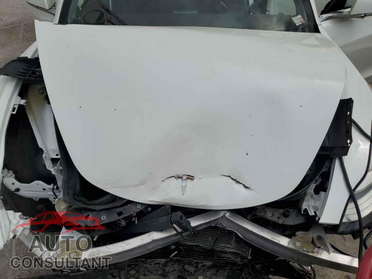 TESLA MODEL 3 2019 - 5YJ3E1EB0KF191518
