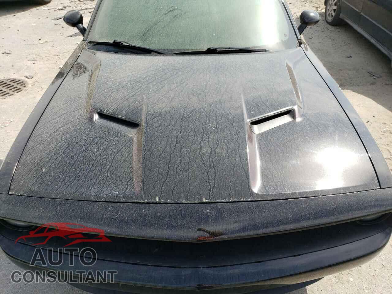 DODGE CHALLENGER 2019 - 2C3CDZAG3KH620488