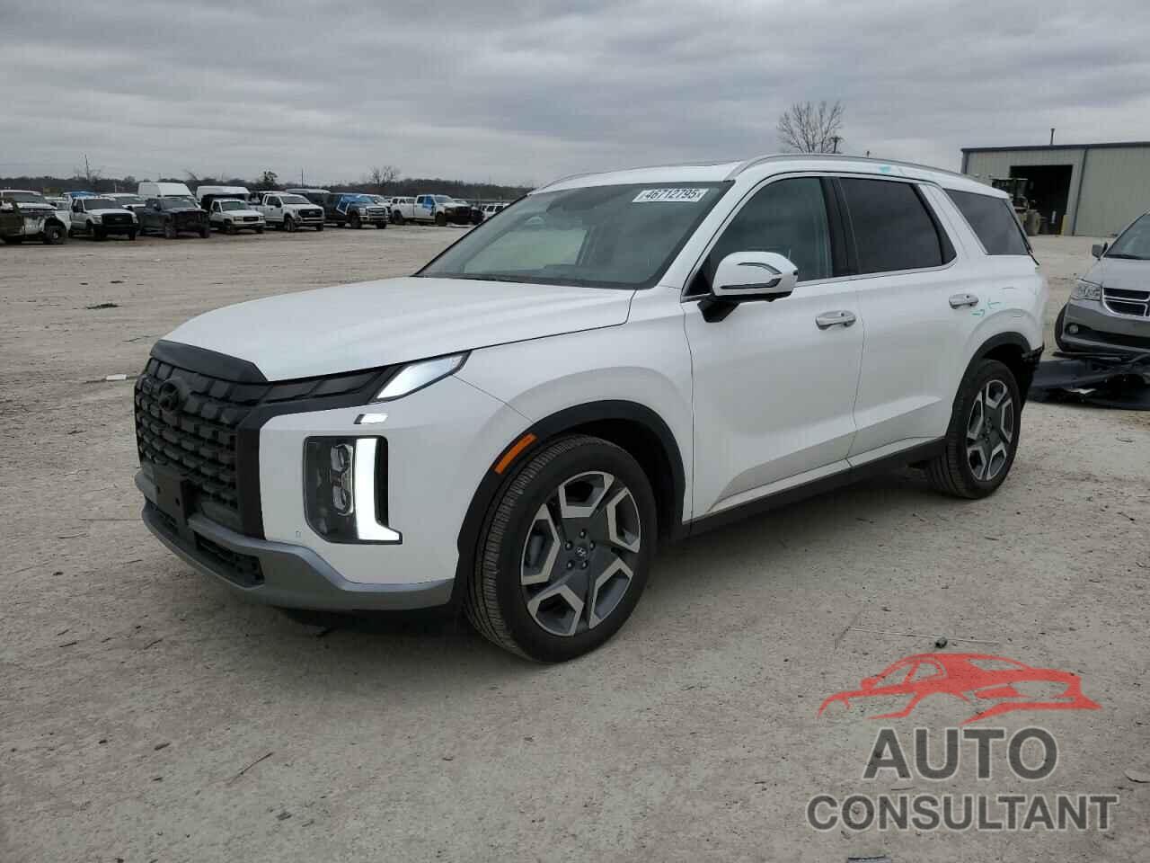 HYUNDAI PALISADE 2024 - KM8R5DGE4RU782192