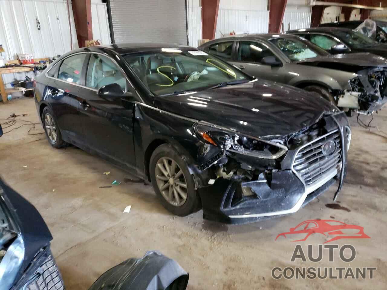 HYUNDAI SONATA 2019 - 5NPE24AF3KH746264