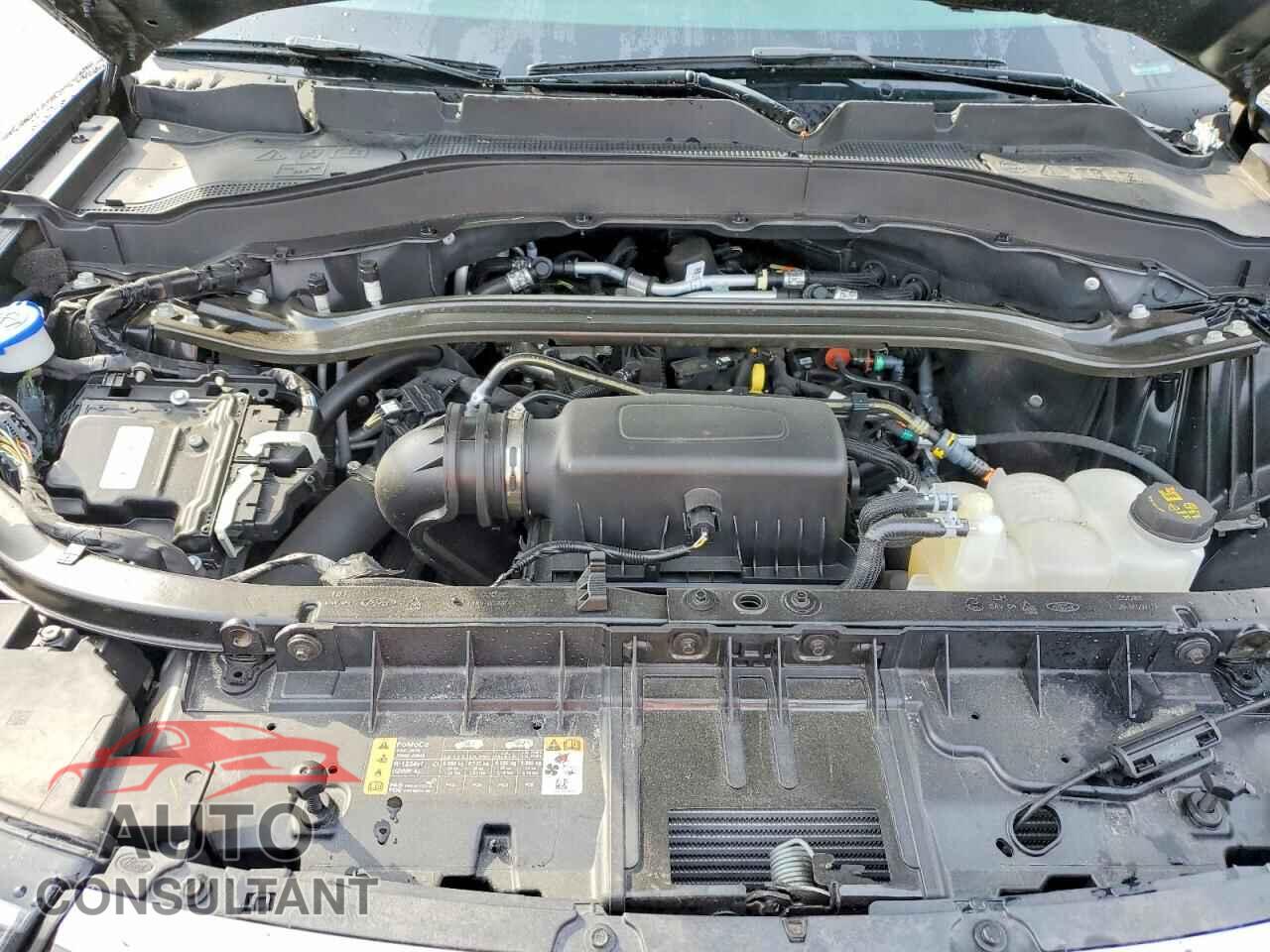 FORD EXPLORER 2023 - 1FMSK8FH8PGB04084