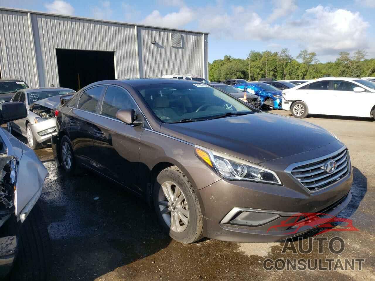 HYUNDAI SONATA 2016 - 5NPE24AF2GH288000