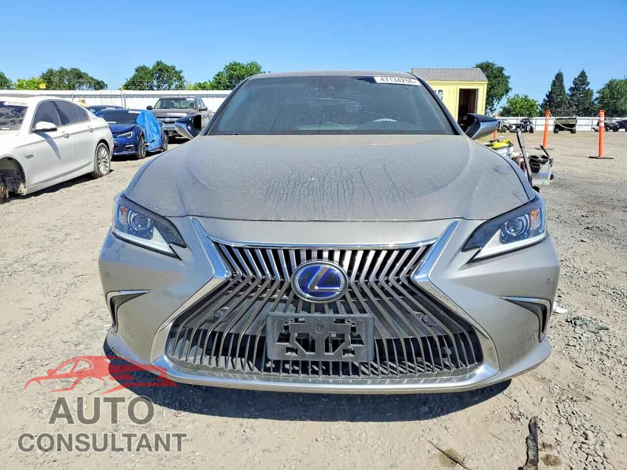 LEXUS ES300 2020 - 58AD21B10LU004803