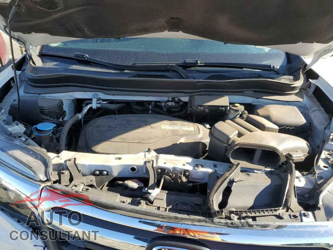 HONDA RIDGELINE 2019 - 5FPYK3F50KB045100