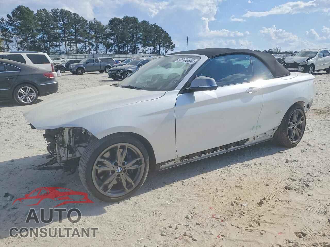 BMW M2 2017 - WBA2L1C3XHV666774