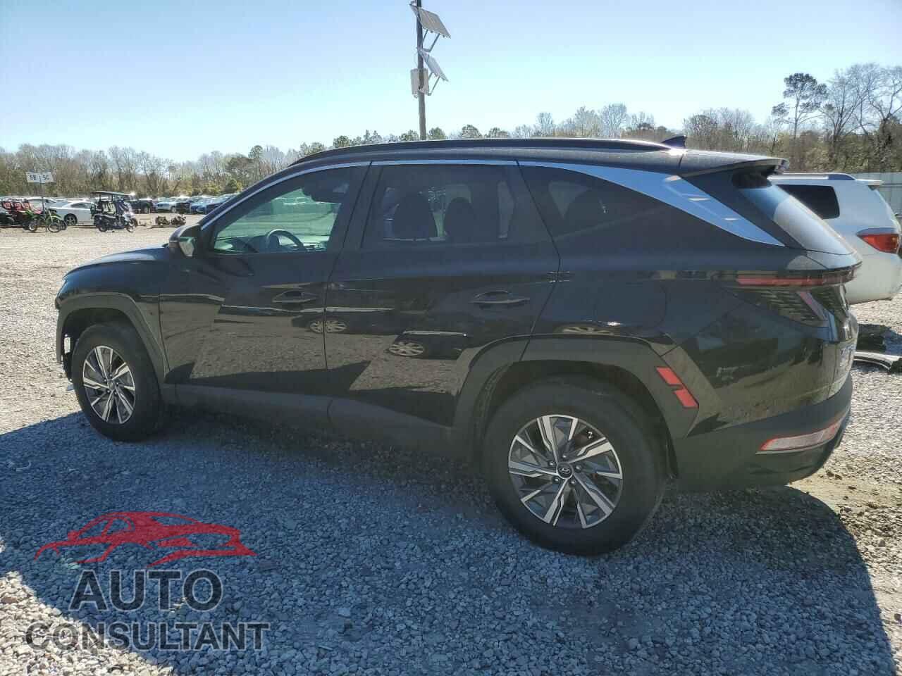 HYUNDAI TUCSON 2023 - KM8JBCA10PU097285
