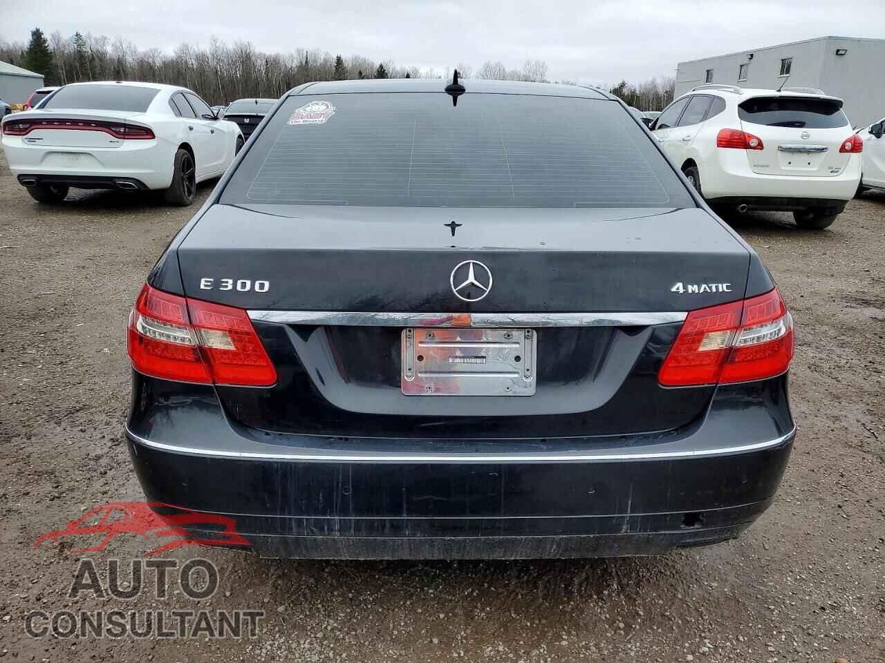 MERCEDES-BENZ E-CLASS 2012 - WDDHF82B2CA625244