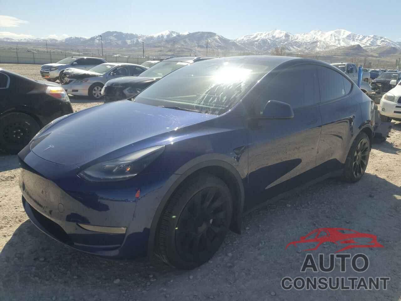 TESLA MODEL Y 2023 - 7SAYGAEE2PF855113