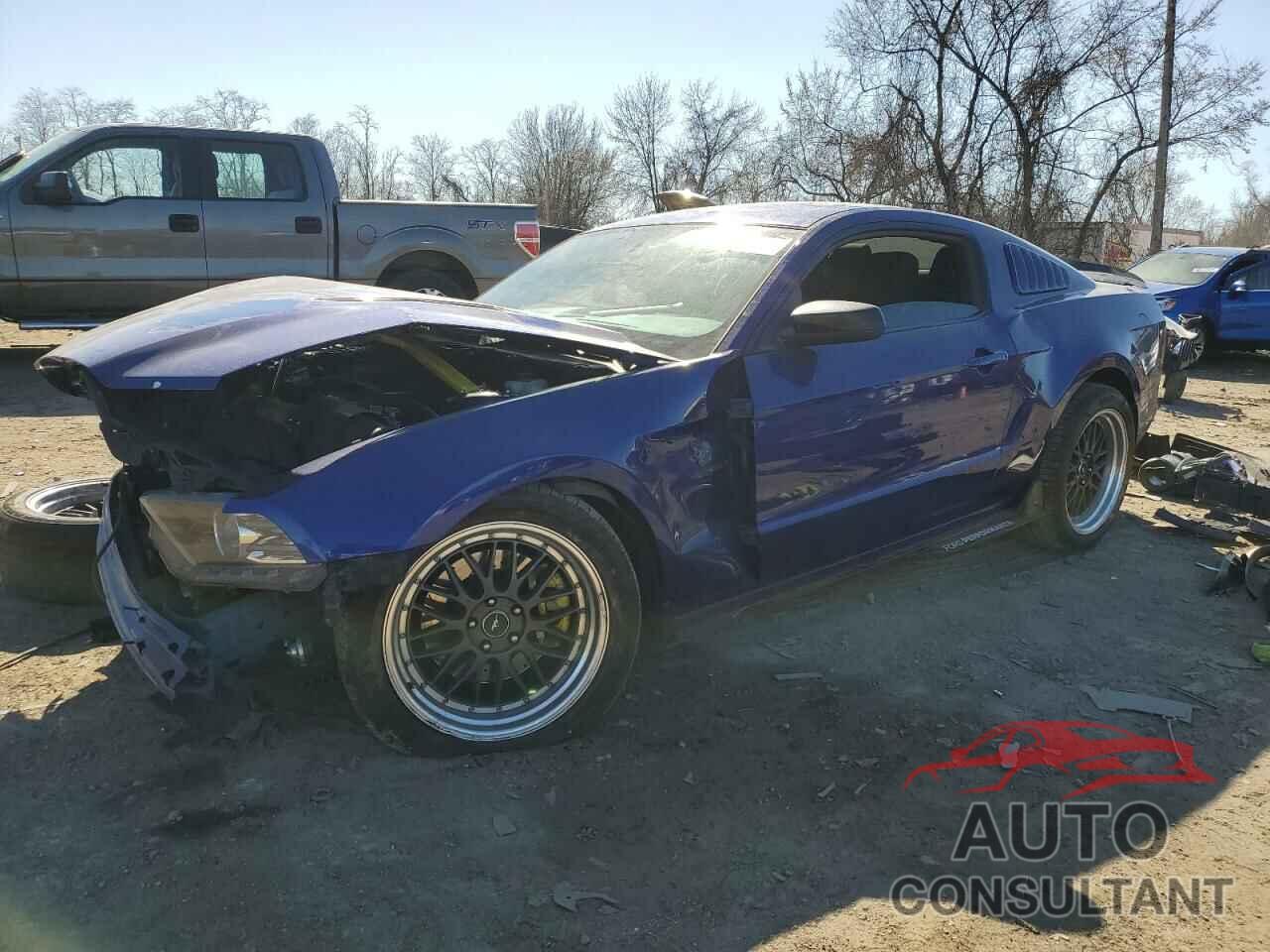 FORD MUSTANG 2014 - 1ZVBP8CF3E5303428