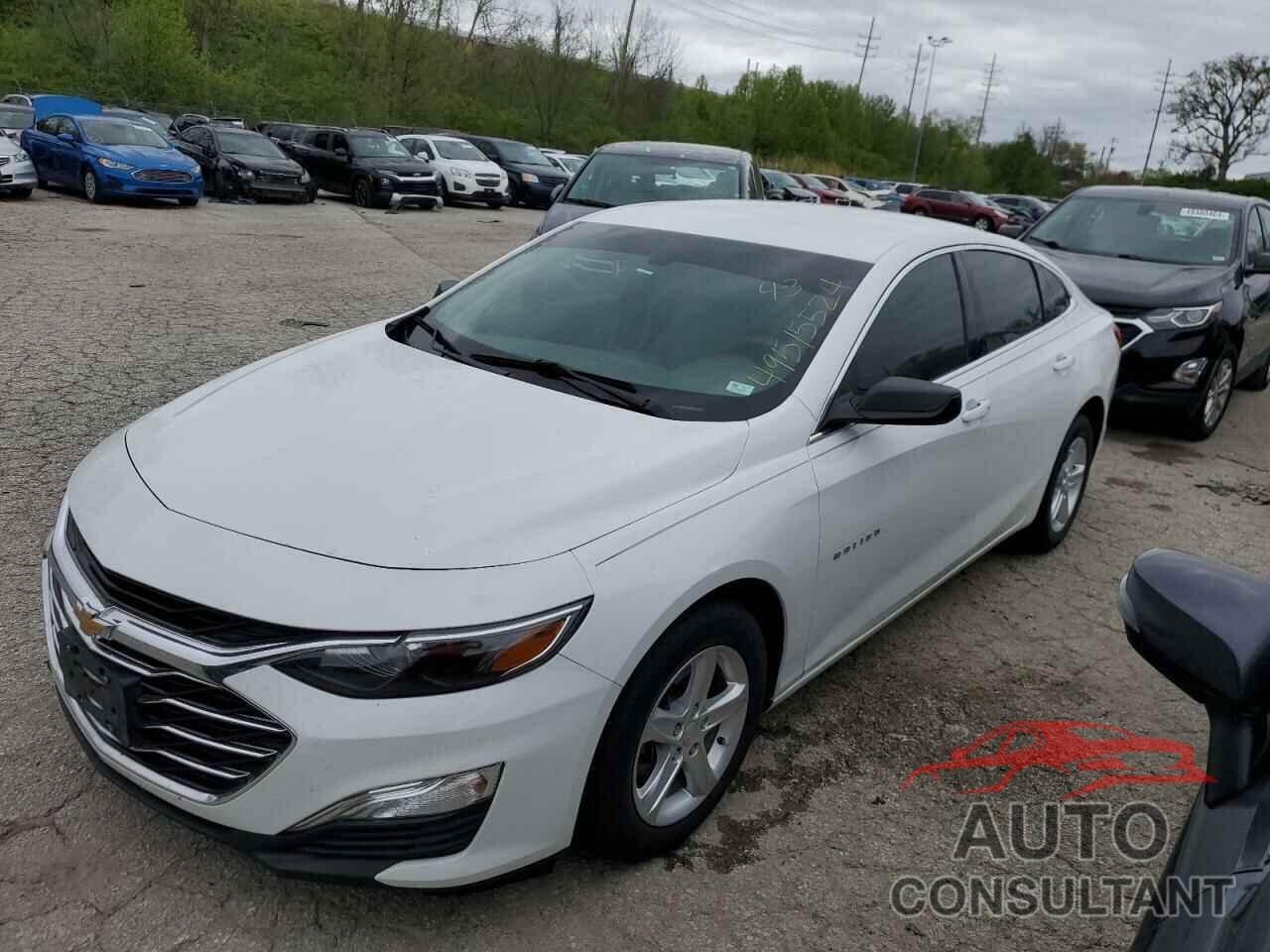 CHEVROLET MALIBU 2019 - 1G1ZB5ST5KF192952