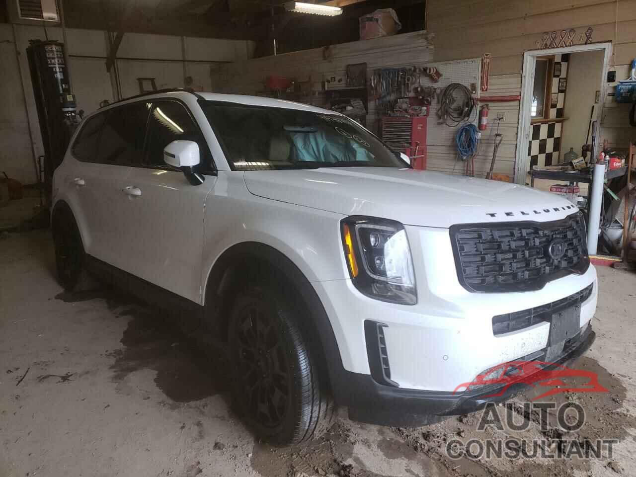 KIA TELLURIDE 2021 - 5XYP5DHC5MG098898