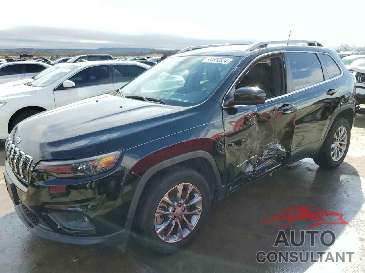 JEEP GRAND CHER 2019 - 1C4PJLLB2KD434460