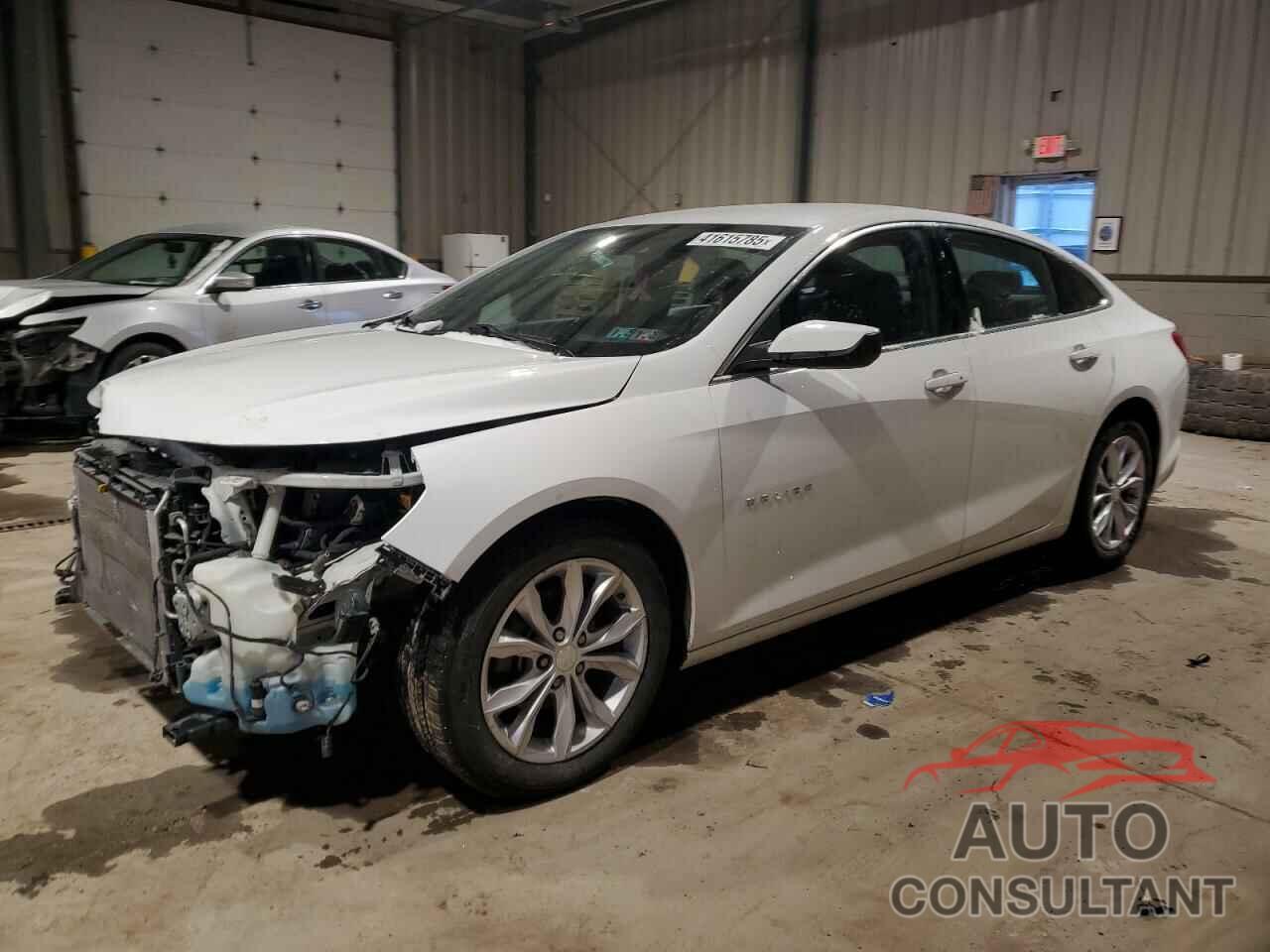 CHEVROLET MALIBU 2019 - 1G1ZF5SU6KF176997