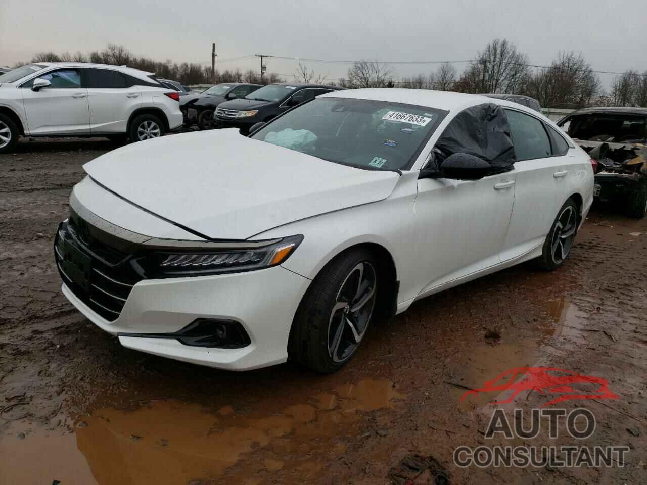 HONDA ACCORD 2022 - 1HGCV1F38NA065624