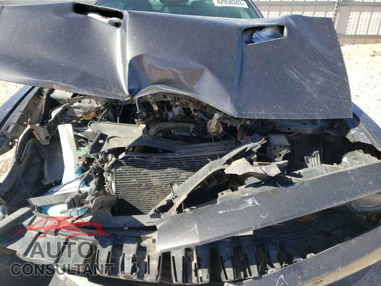 DODGE CHALLENGER 2019 - 2C3CDZAG9KH591255