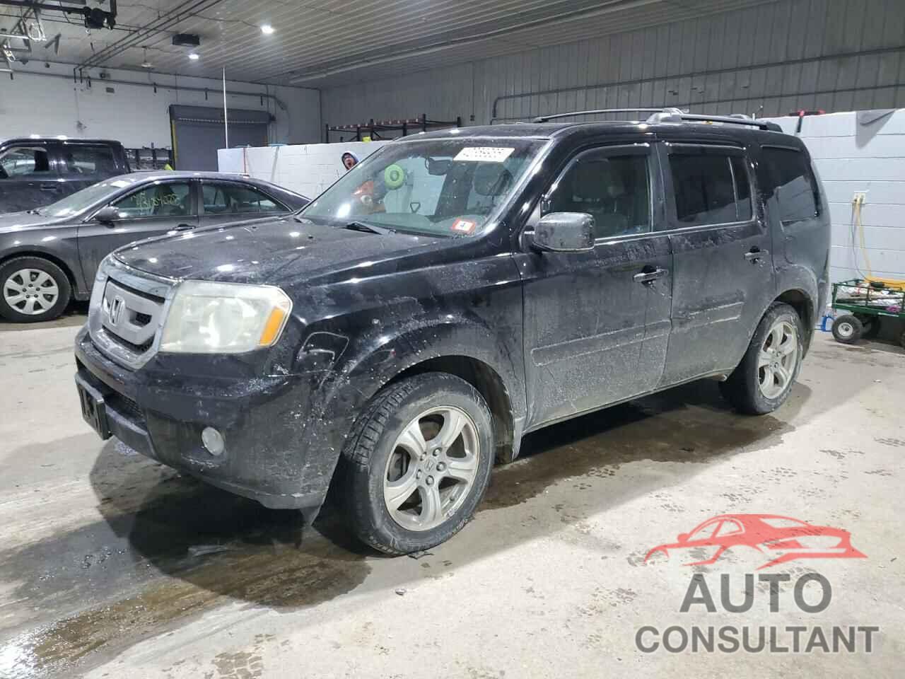 HONDA PILOT 2009 - 5FNYF48509B006243