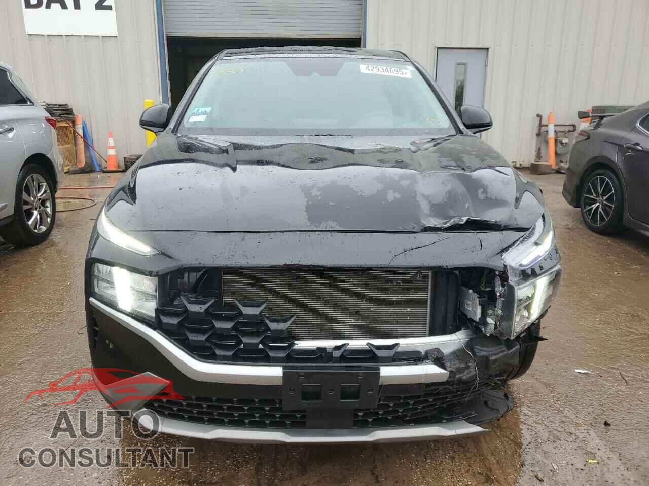 HYUNDAI SANTA FE 2023 - 5NMS14AJ1PH657145