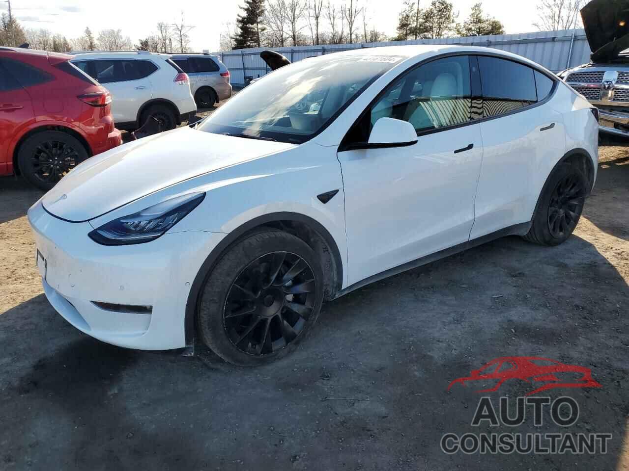 TESLA MODEL Y 2022 - 7SAYGDEE5NF419225