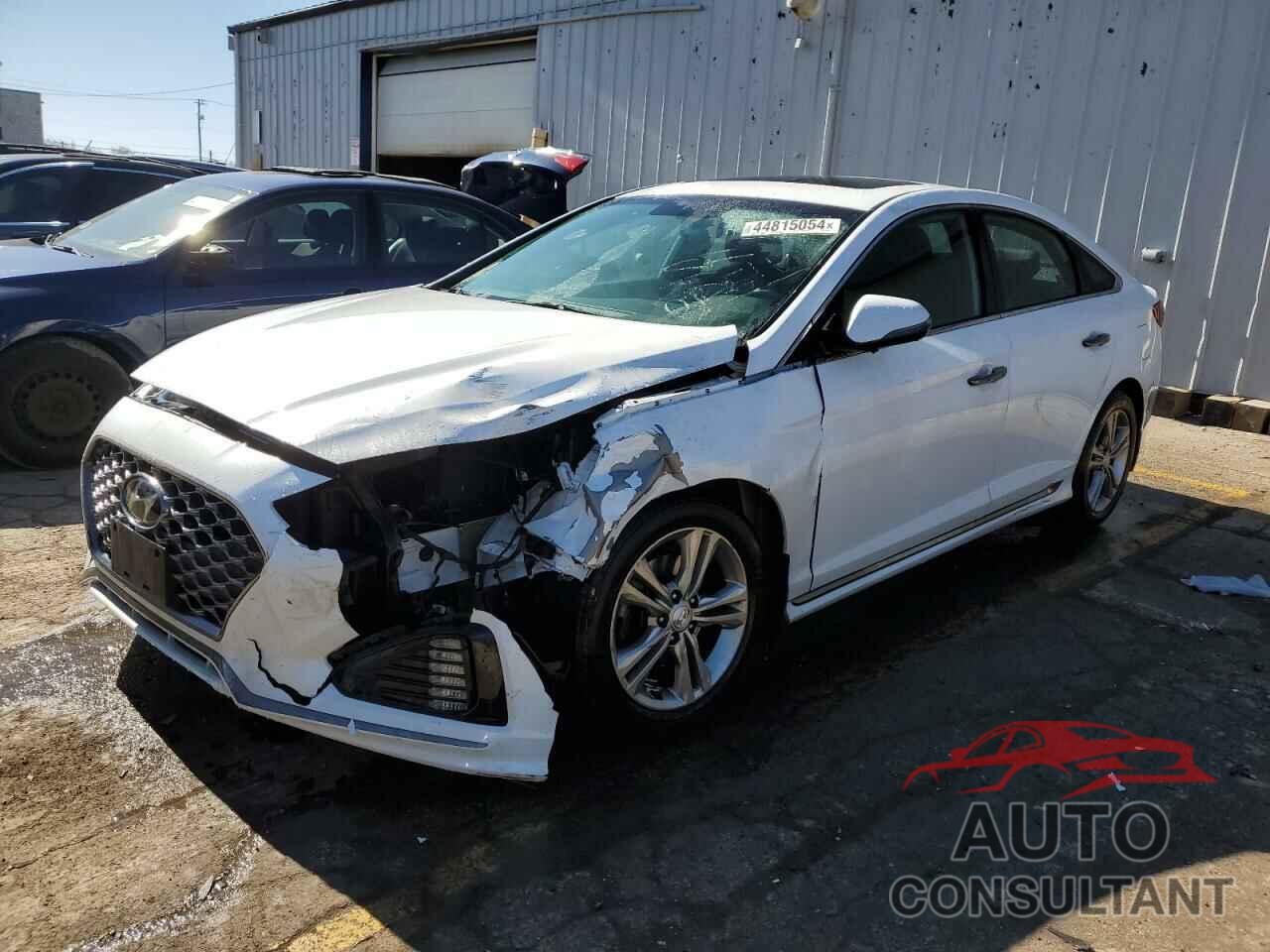 HYUNDAI SONATA 2019 - 5NPE34AF4KH761630