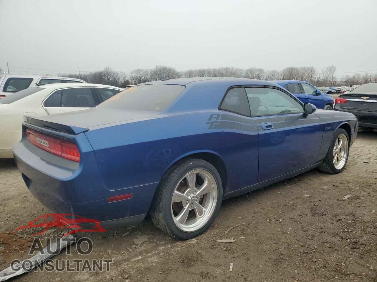 DODGE CHALLENGER 2010 - 2B3CJ5DTXAH142575