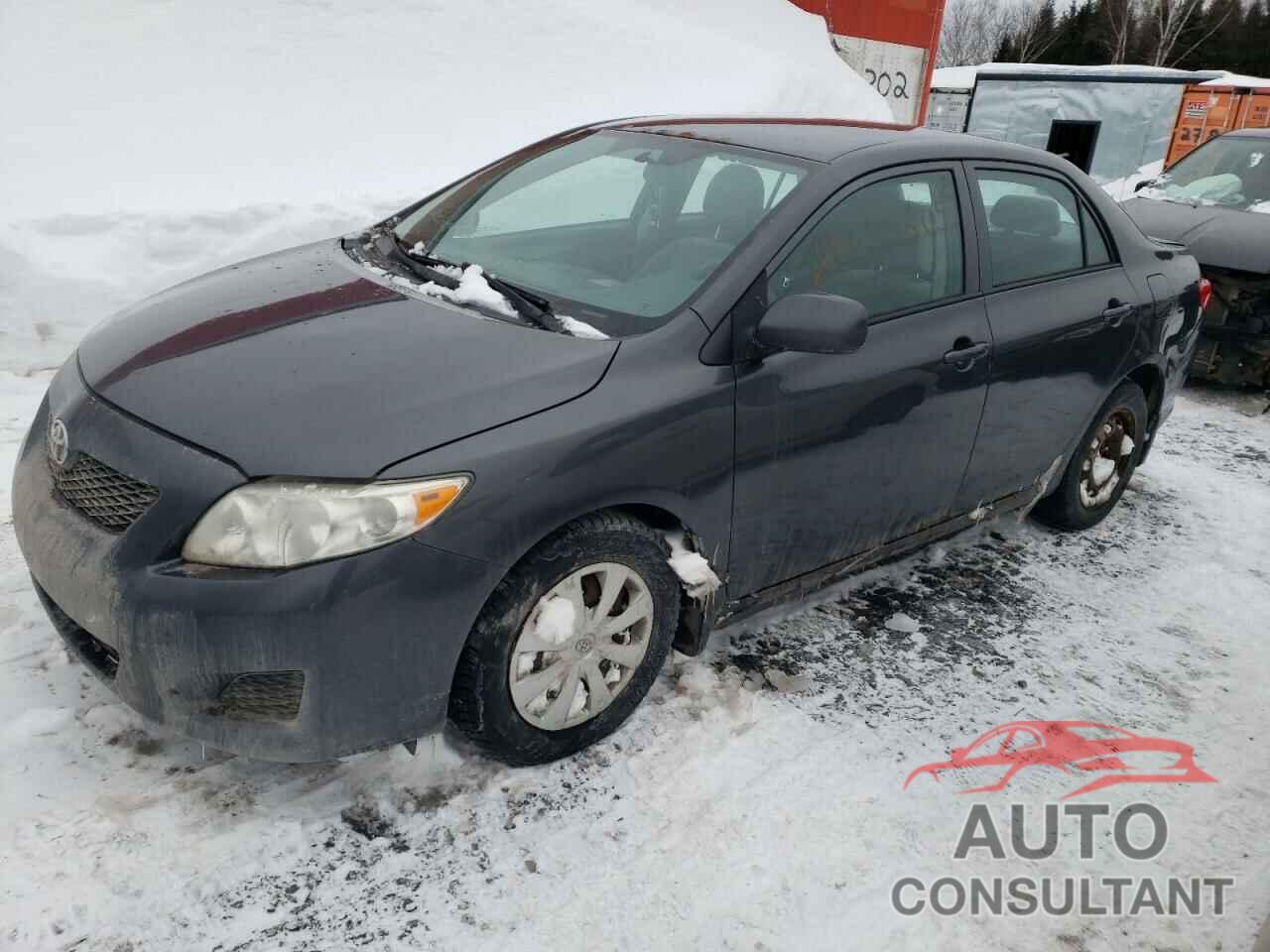 TOYOTA COROLLA 2010 - 2T1BU4EE0AC442082