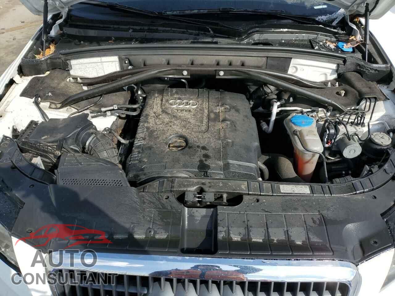 AUDI Q5 2012 - WA1LFAFP3CA059302