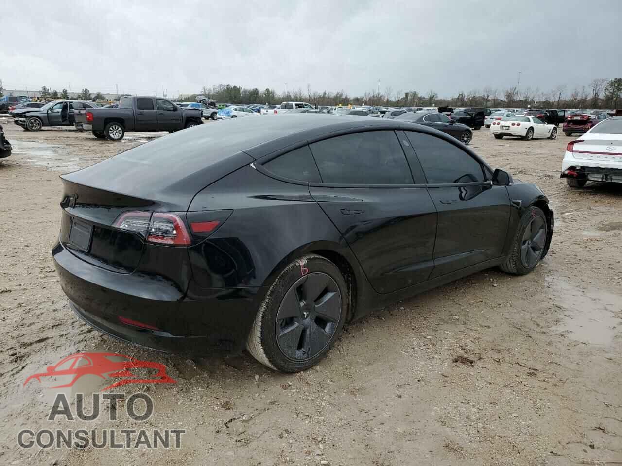 TESLA MODEL 3 2020 - 5YJ3E1EA2LF796584