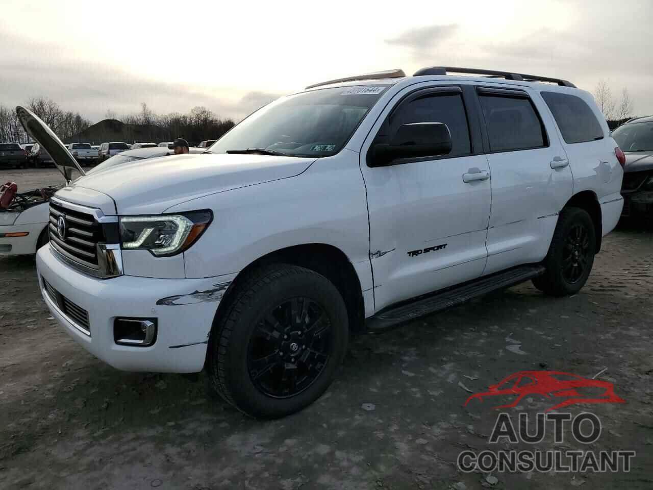 TOYOTA SEQUOIA 2018 - 5TDBY5G1XJS161533