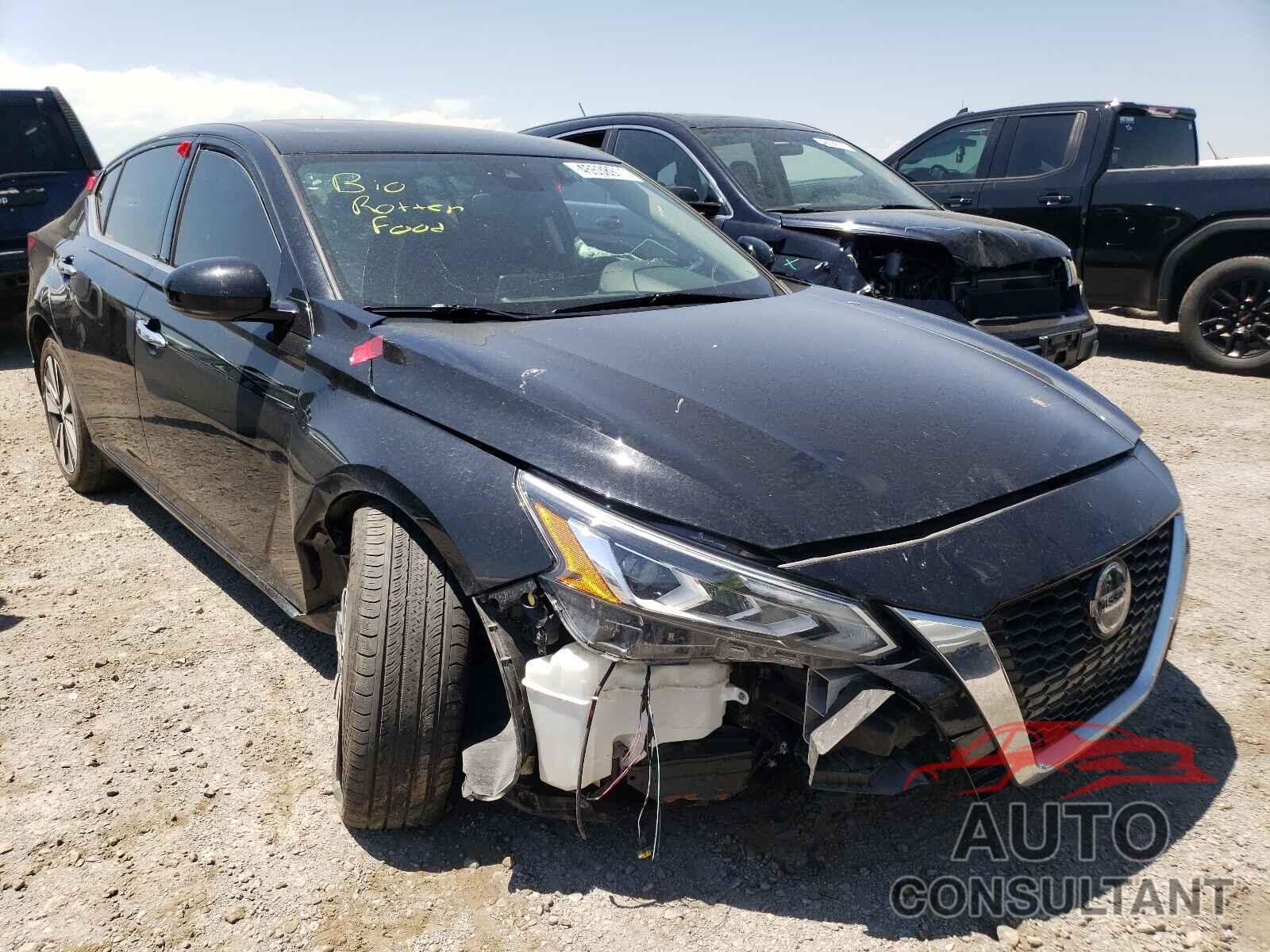 NISSAN ALTIMA SV 2019 - 1N4BL4DW6KN314558