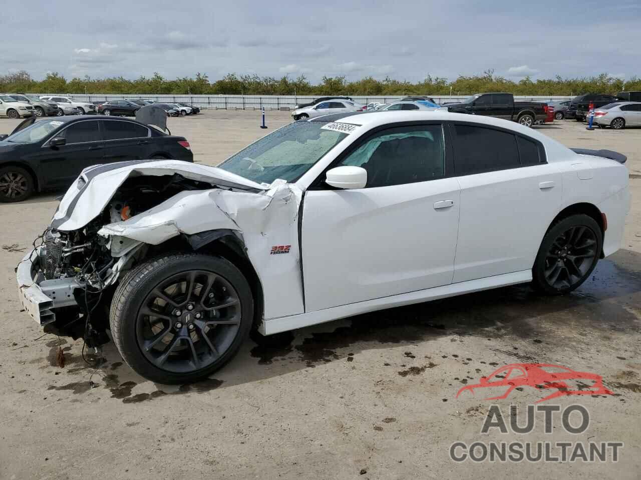 DODGE CHARGER 2020 - 2C3CDXGJ7LH185774
