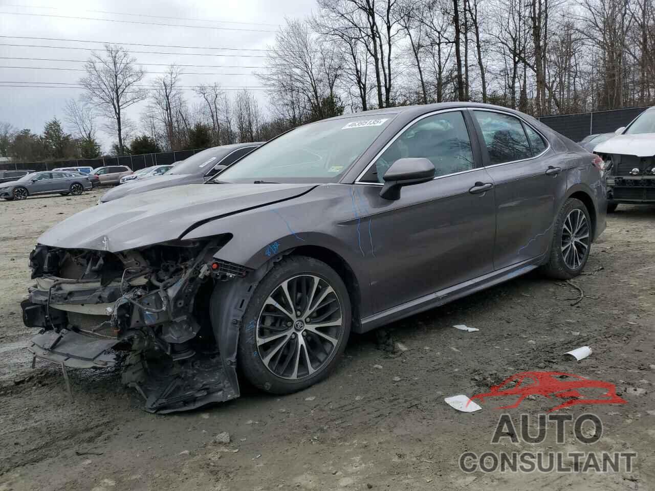 TOYOTA CAMRY 2019 - 4T1B11HK8KU704472