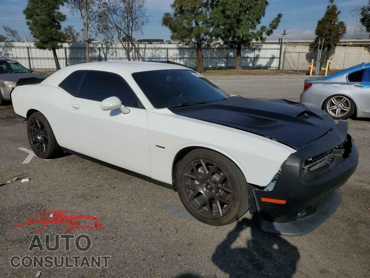 DODGE CHALLENGER 2019 - 2C3CDZBT9KH737505