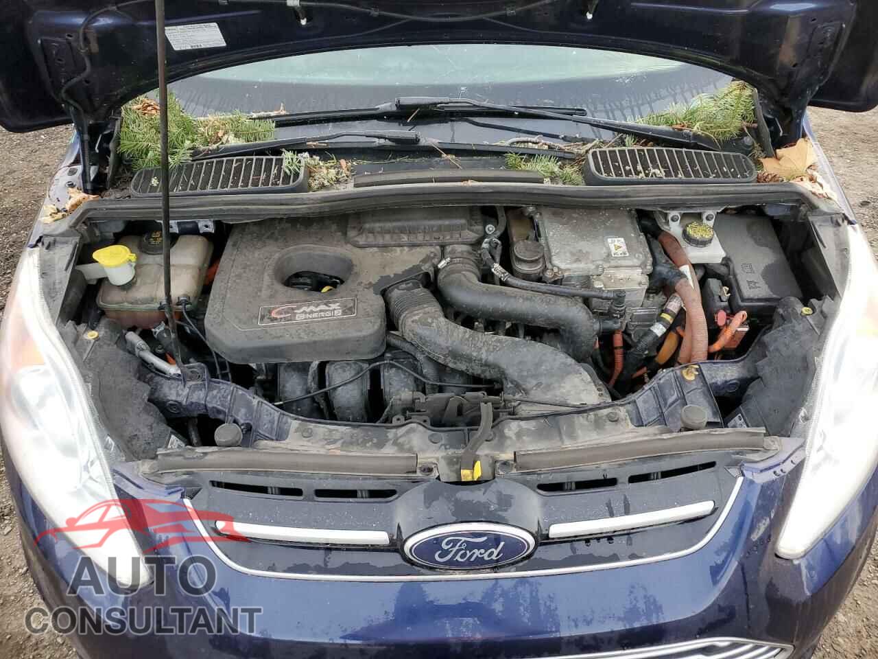 FORD CMAX 2016 - 1FADP5CU8GL114481