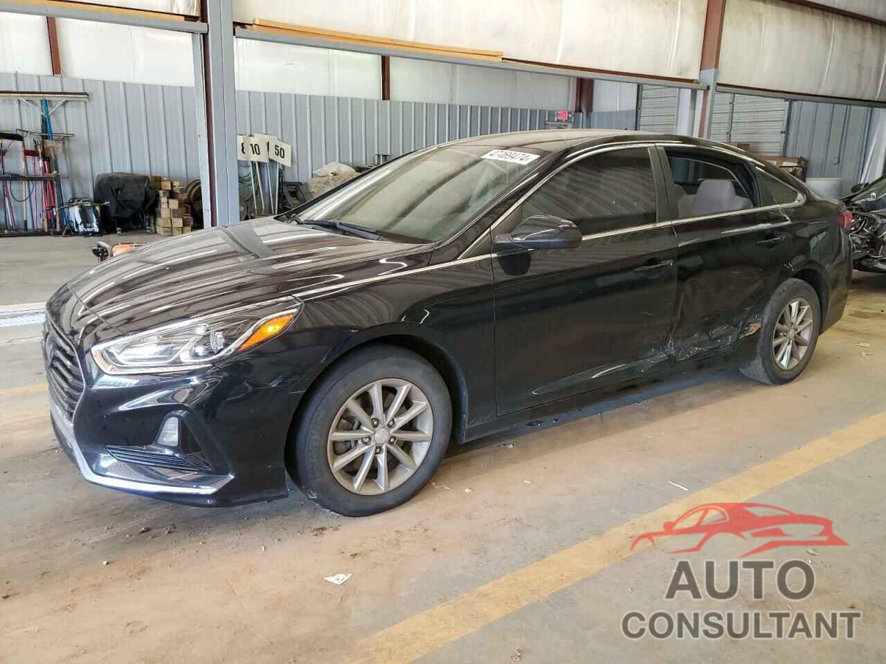 HYUNDAI SONATA 2019 - 5NPE24AFXKH789435