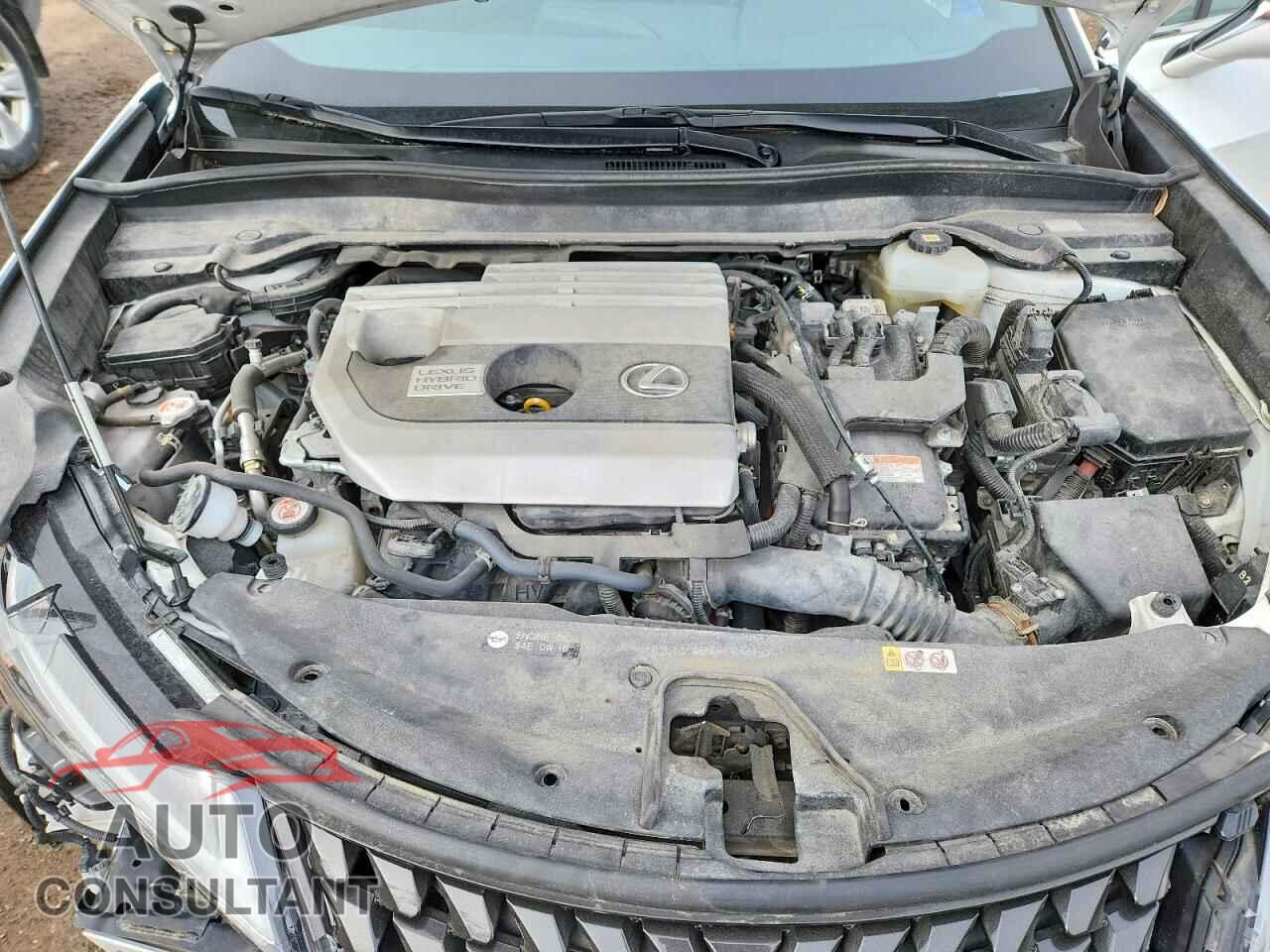 LEXUS UNKNOWN 2021 - JTHP9JBH4M2043813