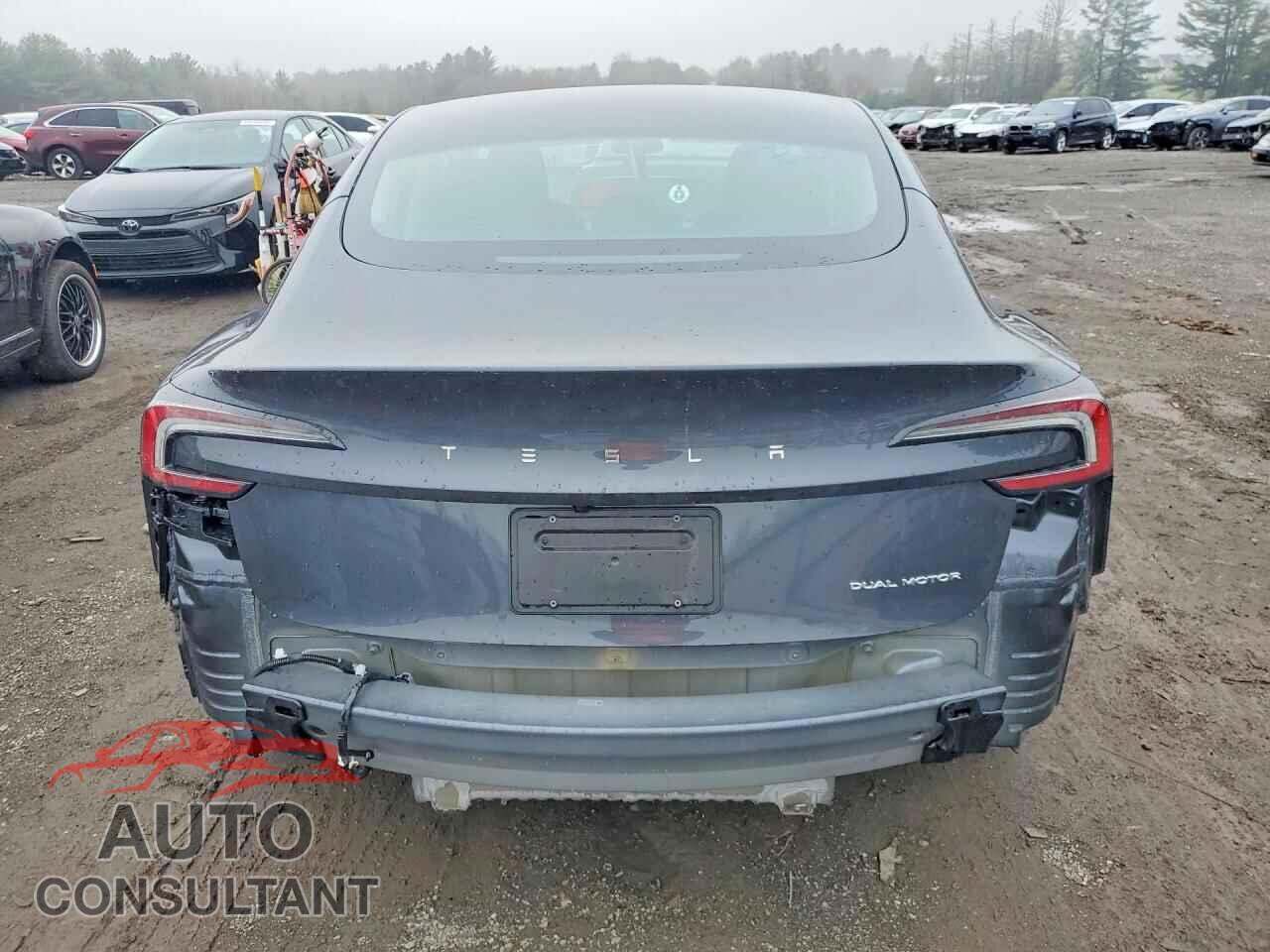 TESLA MODEL 3 2025 - 5YJ3E1EBXSF060306